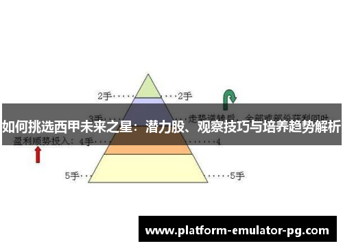 如何挑选西甲未来之星：潜力股、观察技巧与培养趋势解析