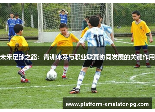 未来足球之路：青训体系与职业联赛协同发展的关键作用